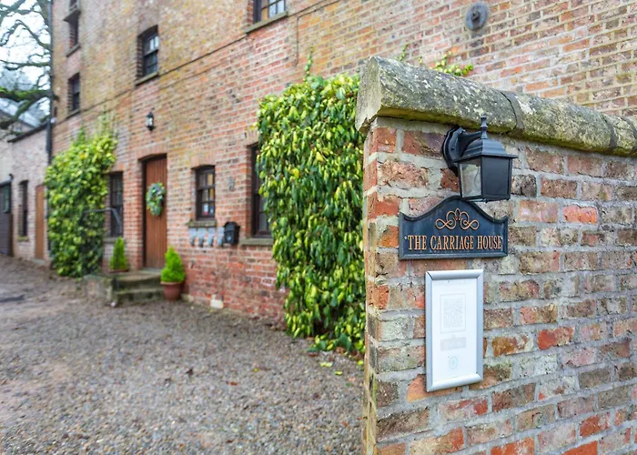 One - Uk41159 * 빌브러